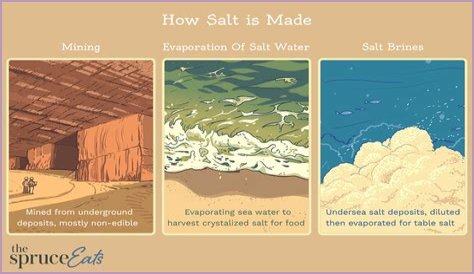 Do bats like salt water?