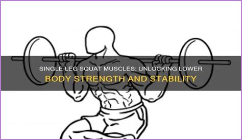What muscles does a single leg squat work?